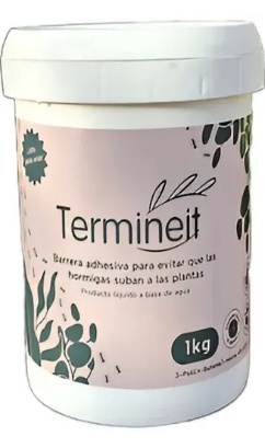 Termineit